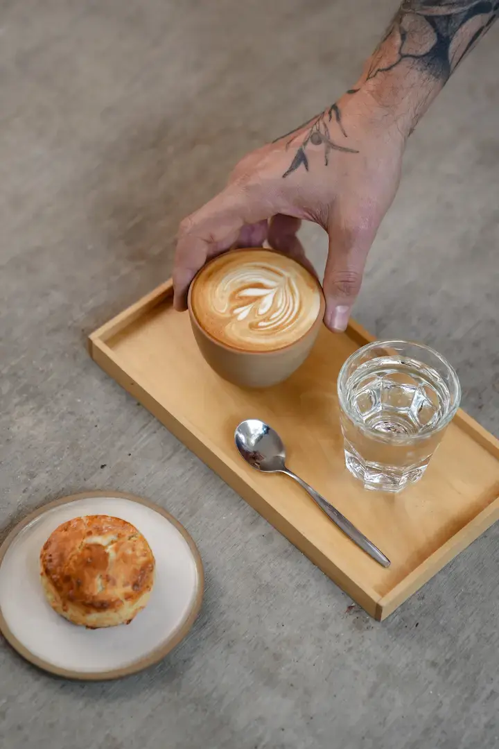 café anfibio